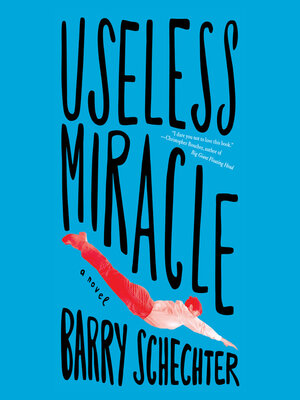 cover image of Useless Miracle